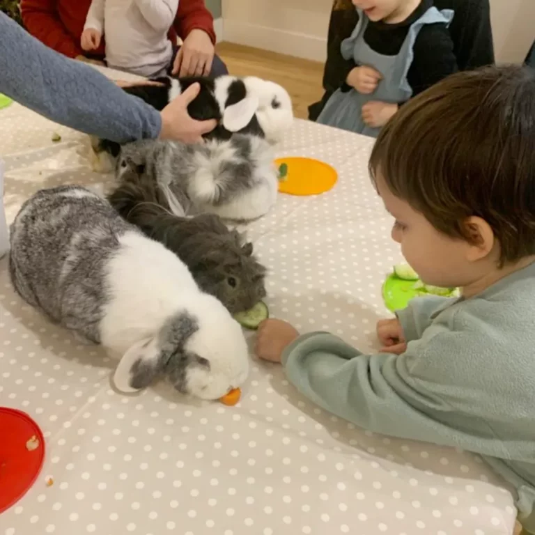 atelier médiation animale nantes enfants parents